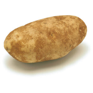 Potato